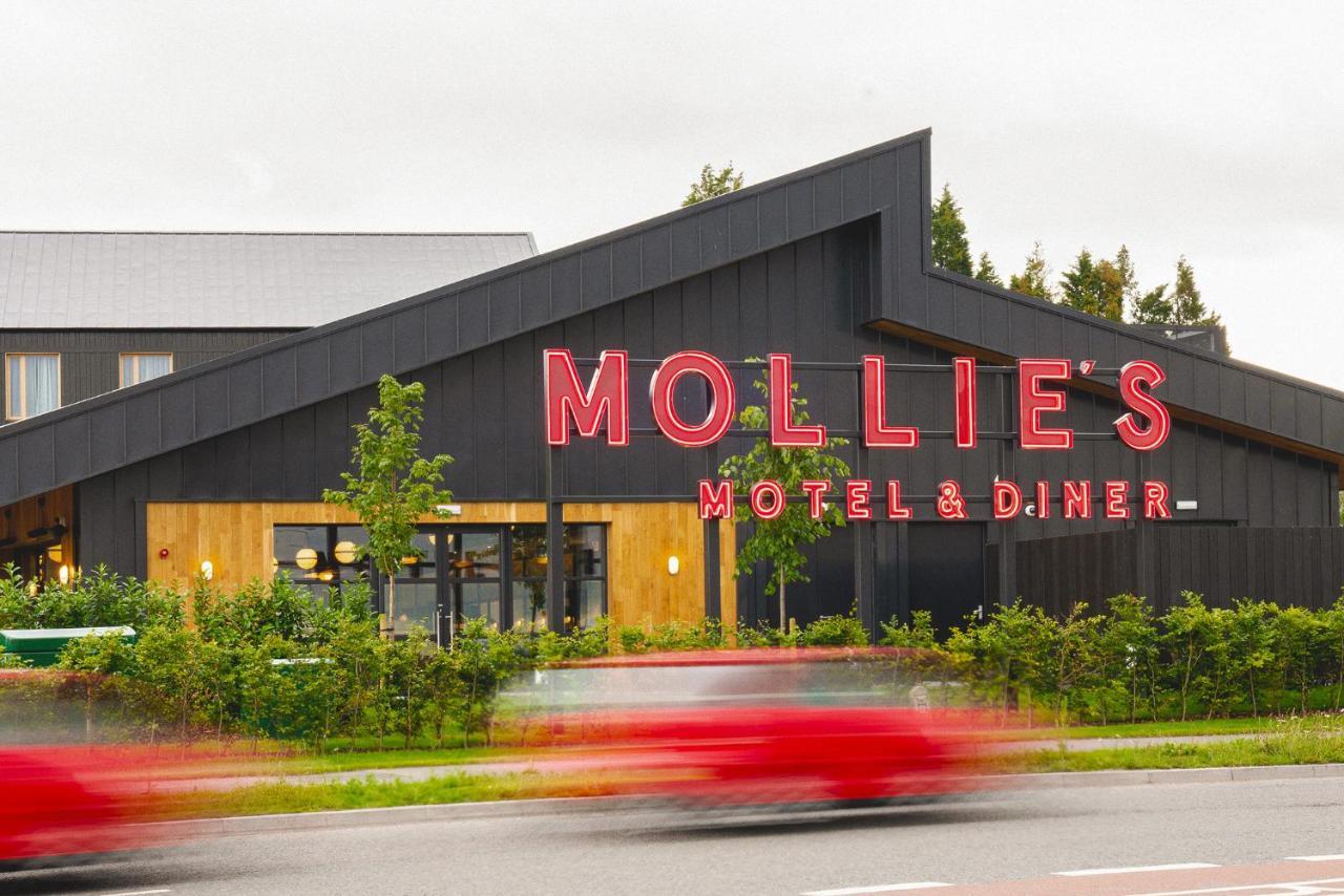 Mollie'S Motel & Diner Бристоль Экстерьер фото
